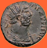 Carausius